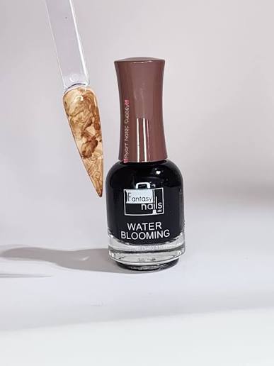 GEL WATER BLOOMING FANTASY NAILS